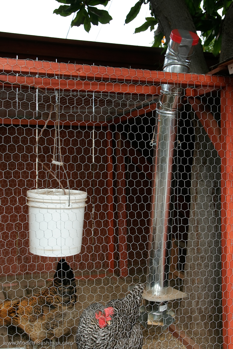 amazon hanging chicken water feeder amazon hanging chicken water feeder