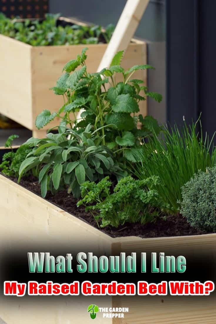 What Should I Line My Raised Garden Bed With?